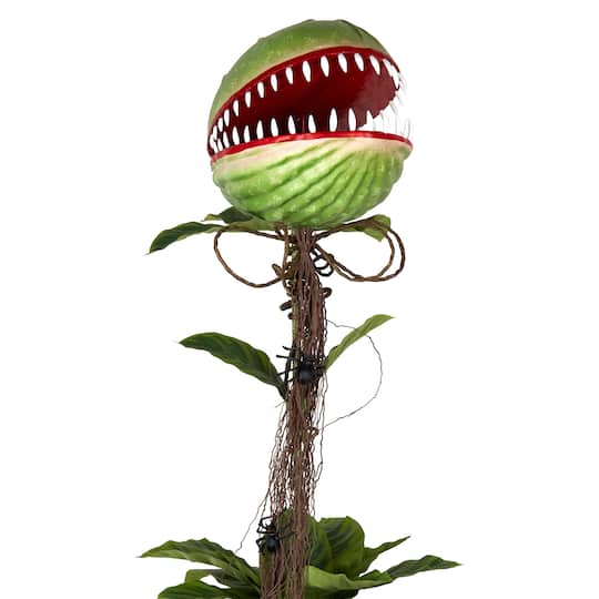 46" Potted Venus Flytrap by Ashland®